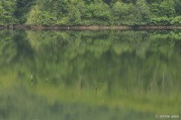 /album/%e5%a4%8f/a3-3-jpg/